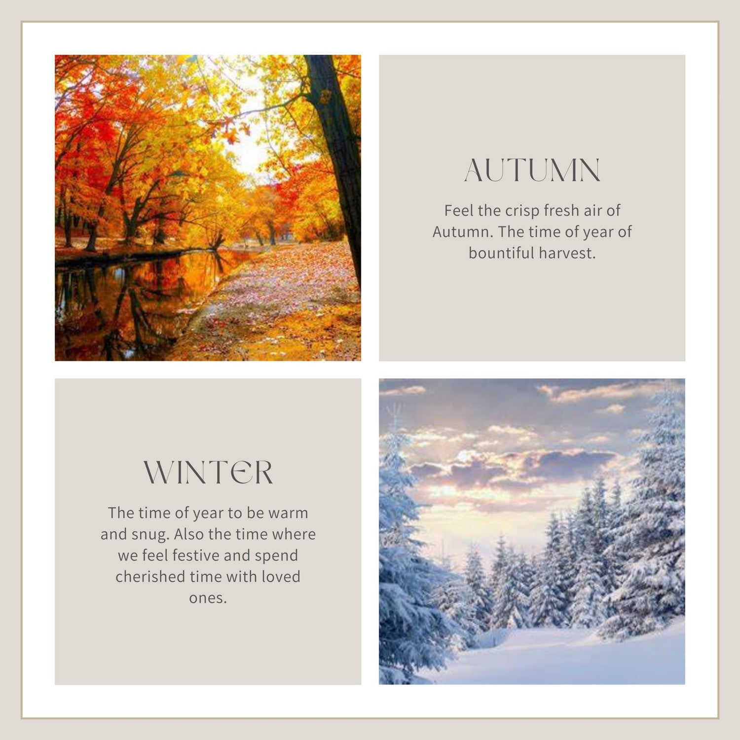 Autumn and Winter - Simply Melted