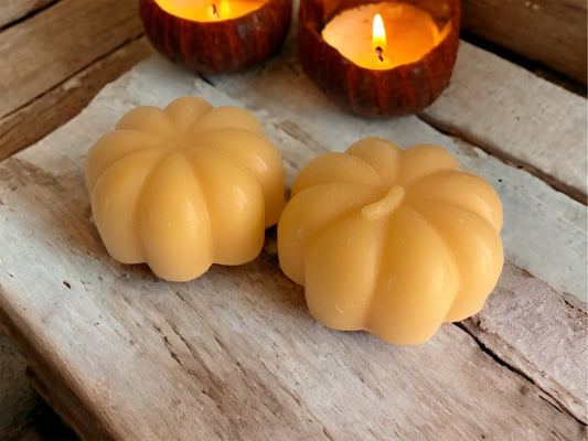 Large Pumpkin Wax Melt/Cupboard Freshener - Simply Melted